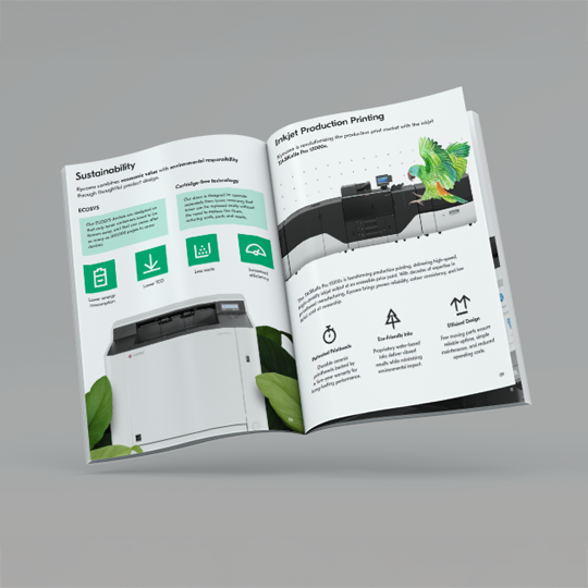 brochure