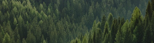 Naše environmentální politika