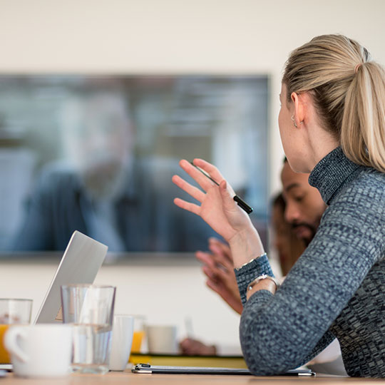 colleagues in a meeting